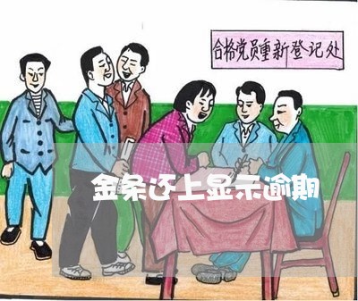 金条还上显示逾期