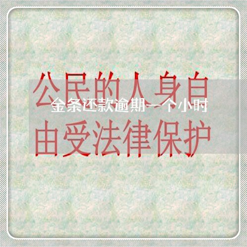 金条还款逾期一个小时