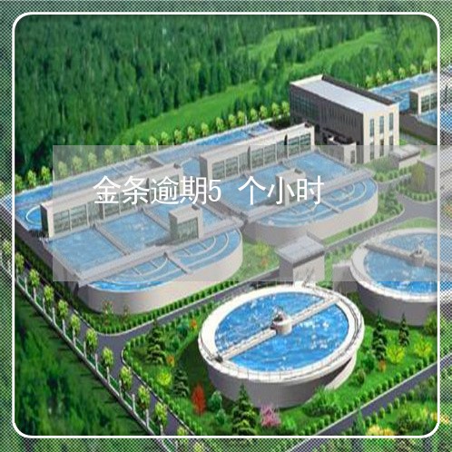 金条逾期5个小时