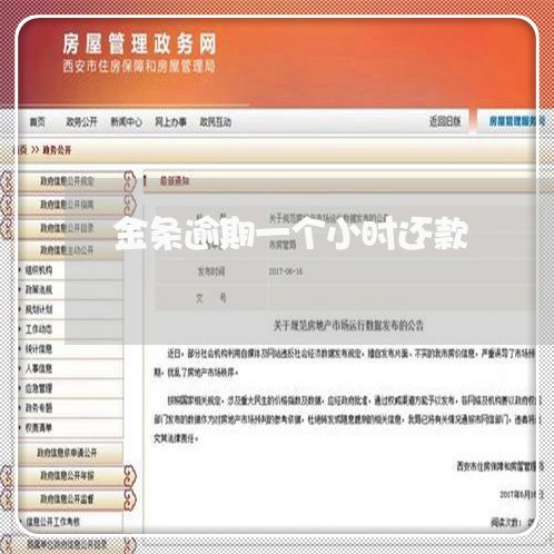 金条逾期一个小时还款