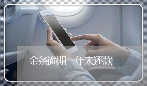 金条逾期一年未还款