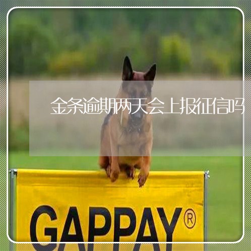 金条逾期两天会上报征信吗 金条逾期两天会上报征信吗