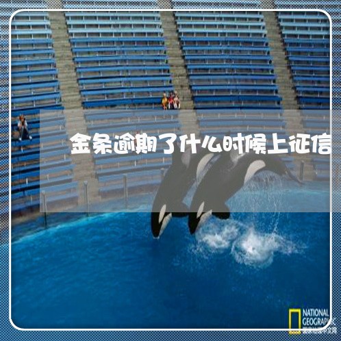 金条逾期了什么时候上征信 金条逾期了什么时候上征信