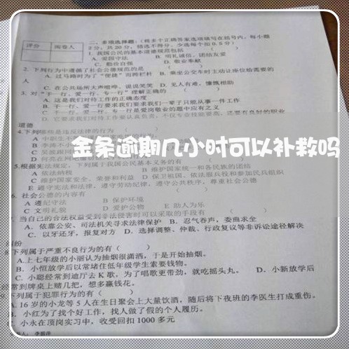金条逾期几小时可以补救吗 金条逾期几小时可以补救吗