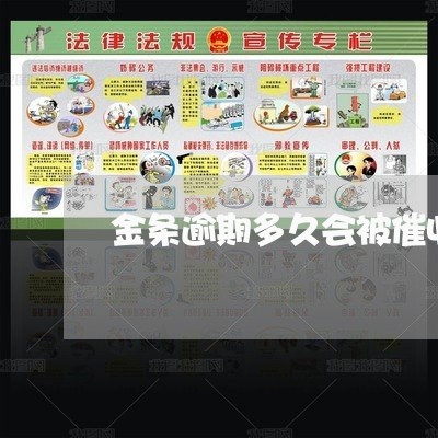 金条逾期多久会被催收员打电话 金条逾期多久会被催收员打电话