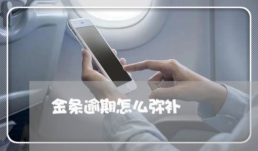 金条逾期怎么弥补 金条逾期怎么弥补