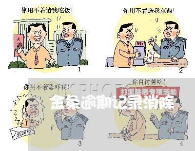金条逾期记录消除