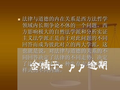 金橘子app逾期