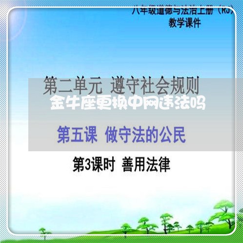 金牛座更换中网违法吗