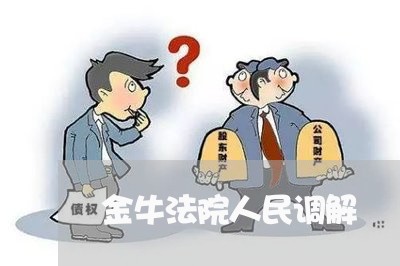 金牛法院人民调解