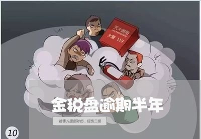 金税盘逾期半年