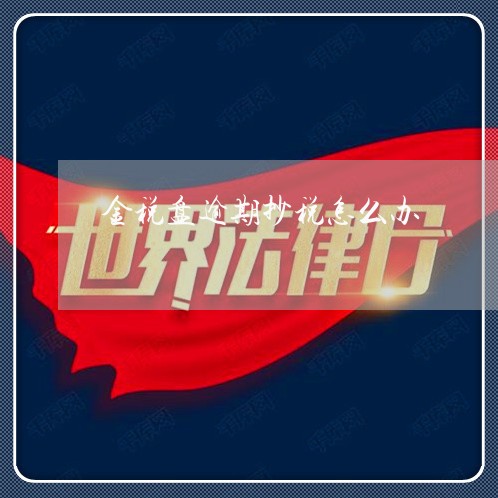 金税盘逾期抄税怎么办 金税盘逾期抄税怎么办