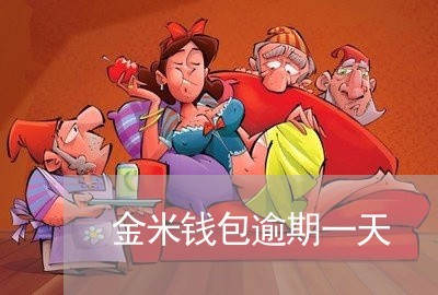 金米钱包逾期一天