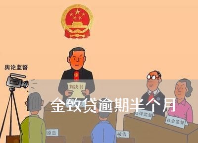 金致贷逾期半个月 金致贷逾期半个月