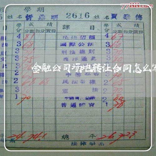 金融公司场地转让合同怎么写/2023042362374 金融公司场地转让合同怎么写/2023042362374