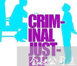 金融公司法务架构 金融公司法务架构