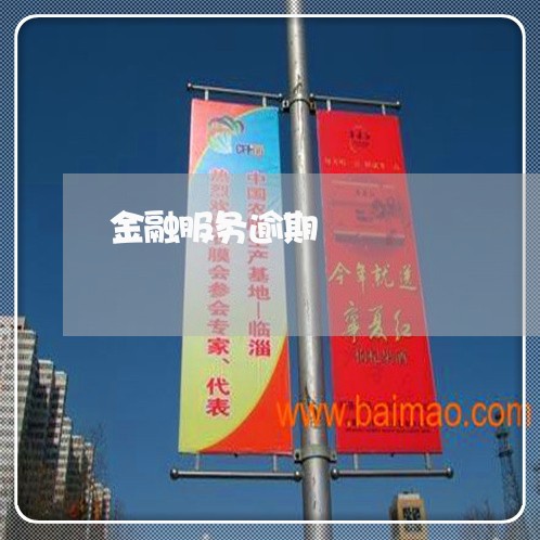 金融服务逾期