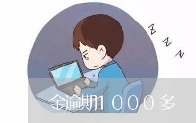 金逾期1000多