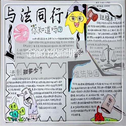 金额分级逾期率 金额分级逾期率