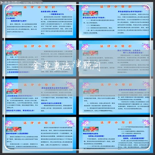 金鱼妻法律顾问/2023061747249