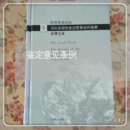 鉴定意见条例 鉴定意见条例