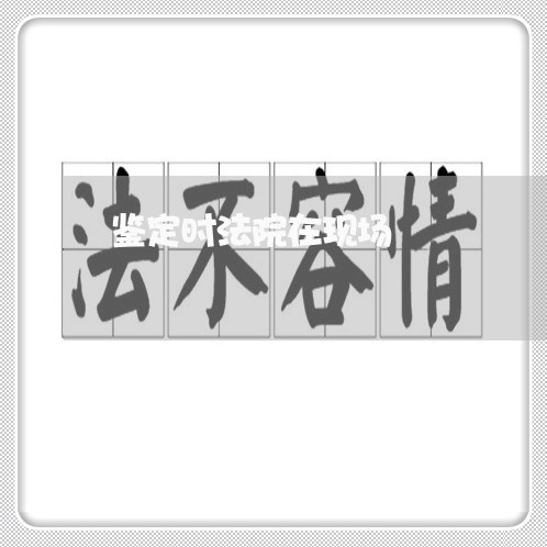 鉴定时法院在现场 鉴定时法院在现场
