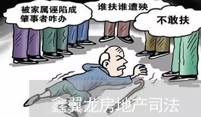 鑫翼龙房地产司法