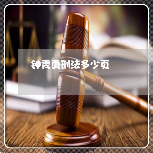 钟秀勇刑法多少页