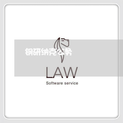 钢研纳克公务