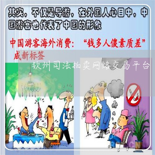 钦州司法拍卖网络交易平台