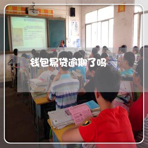 钱包易贷逾期了吗 钱包易贷逾期了吗