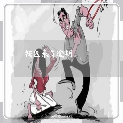 钱包来了逾期 钱包来了逾期