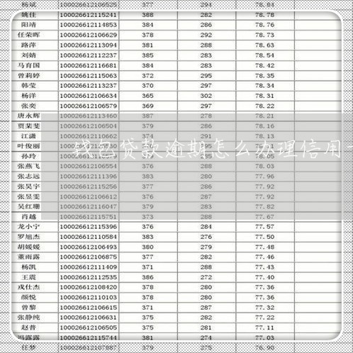 钱包贷款逾期怎么办理信用卡/2023060572917