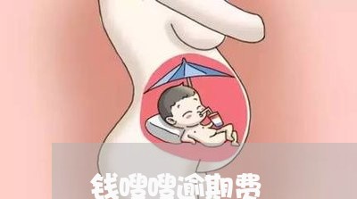 钱嗖嗖逾期费
