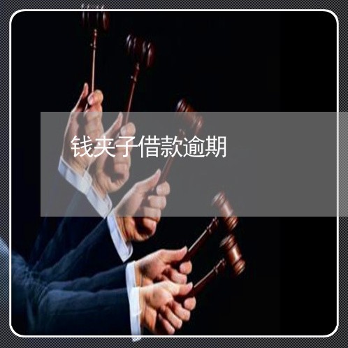 钱夹子借款逾期 钱夹子借款逾期