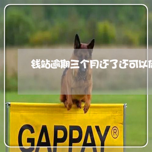 钱站逾期三个月还了还可以借吗 钱站逾期三个月还了还可以借吗