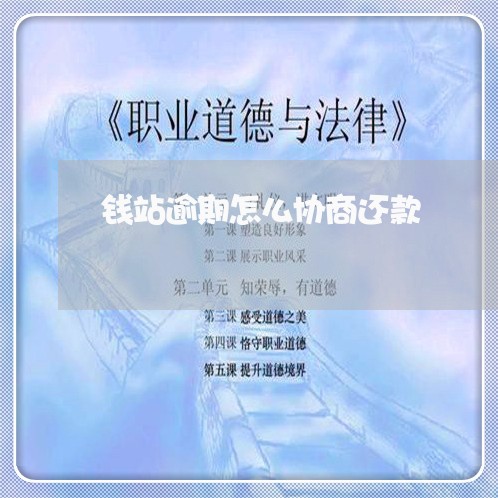 钱站逾期怎么协商还款/2023110932747