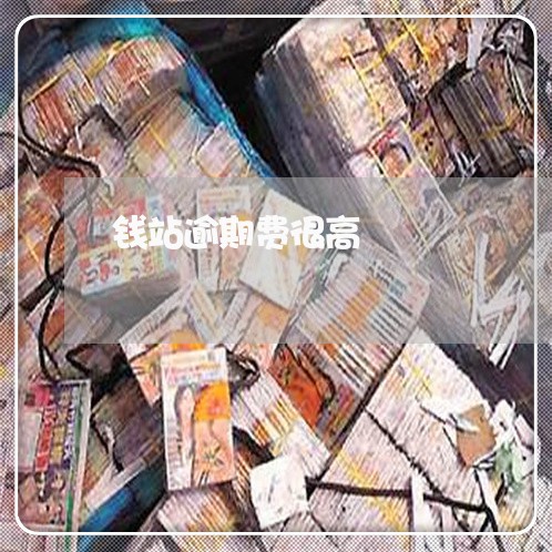 钱站逾期费很高