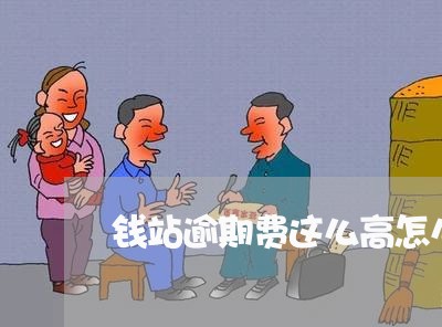 钱站逾期费这么高怎么办
