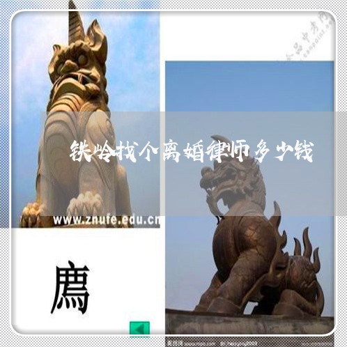 铁岭找个离婚律师多少钱