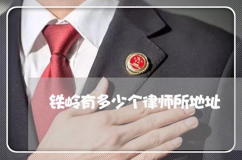 铁岭有多少个律师所地址/2023042571584