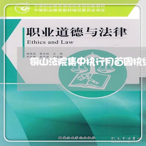 铜山法院集中执行月首周执结 铜山法院集中执行月首周执结