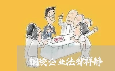 铜陵企业法律祥静 铜陵企业法律祥静