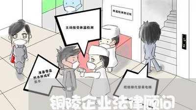 铜陵企业法律顾问/2023061737260