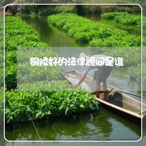 铜陵好的法律顾问是谁/2023061973936