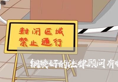铜陵好的法律顾问有哪些 铜陵好的法律顾问有哪些