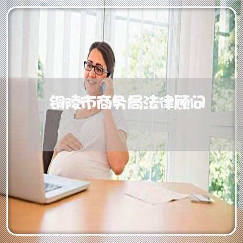 铜陵市商务局法律顾问 铜陵市商务局法律顾问