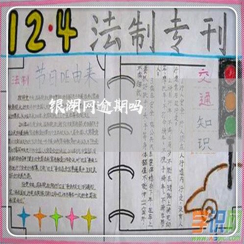 银湖网逾期吗