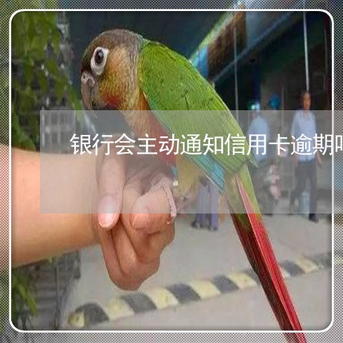 银行会主动通知信用卡逾期吗