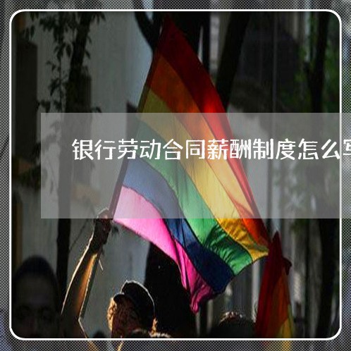 银行劳动合同薪酬制度怎么写/2023042386138